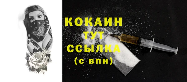 ECSTASY Дмитровск