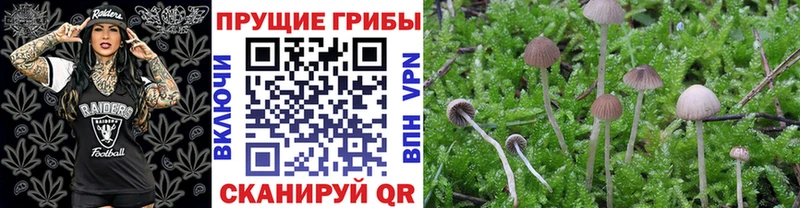 Псилоцибиновые грибы Magic Shrooms  Купить  Лагань 