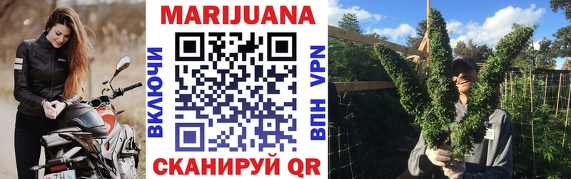 Купить где  Лагань  Канабис SATIVA & INDICA 